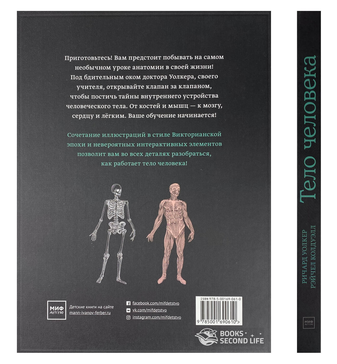 Тело человека. Интерактивная книга-панорама. Автор — Ричард Уолкер. 