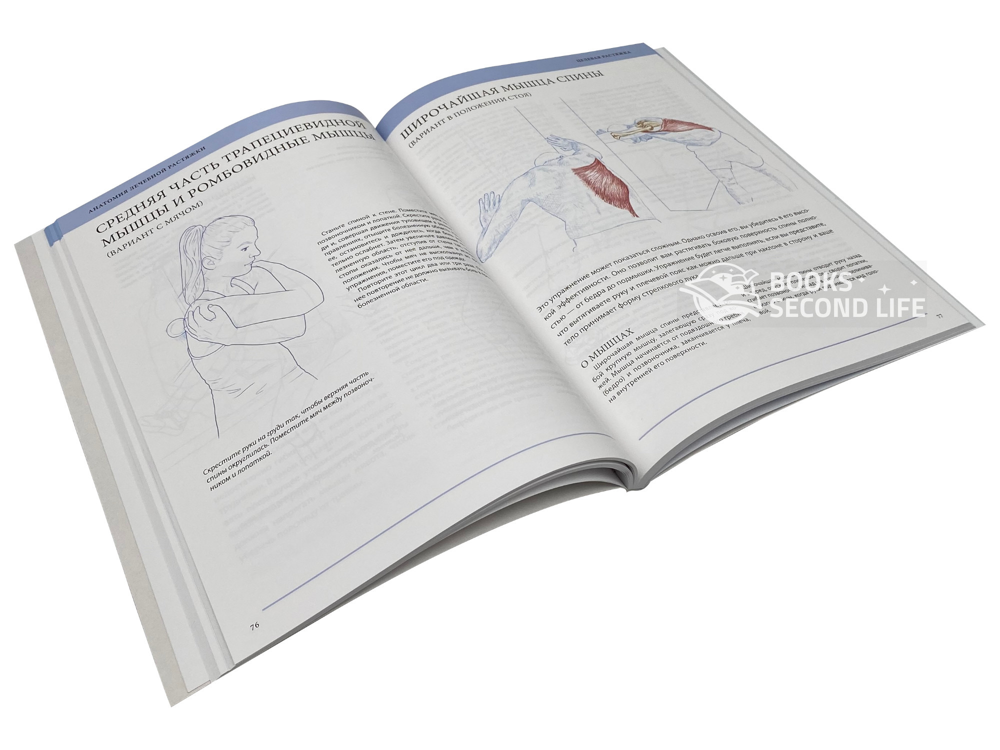 Анатомия лечебной растяжки. Быстрое избавление от боли и профилактика травм. Автор — Кристиан Берг. 