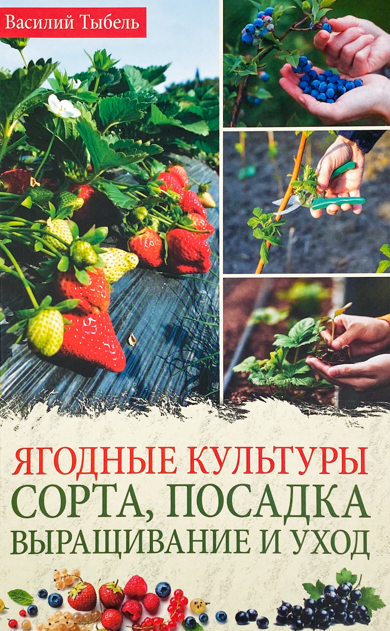 Ягодные культуры. Сорта, посадка, выращивание и уход . Автор — Василий Тыбель. 