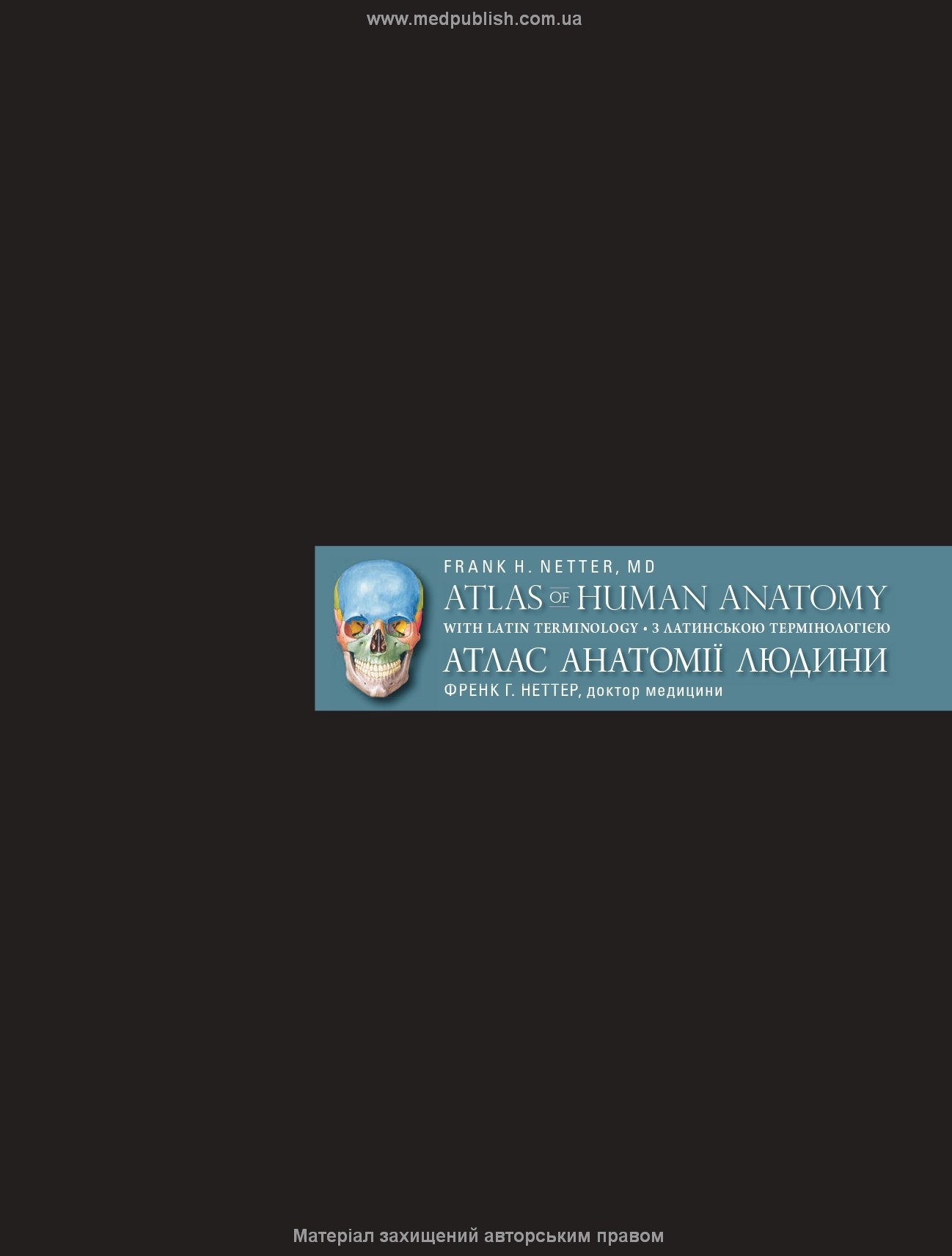 Атлас анатомії людини з латинською термінологією: 7-е видання. Автор — Френк Г. Неттер — доктор медицини.. 