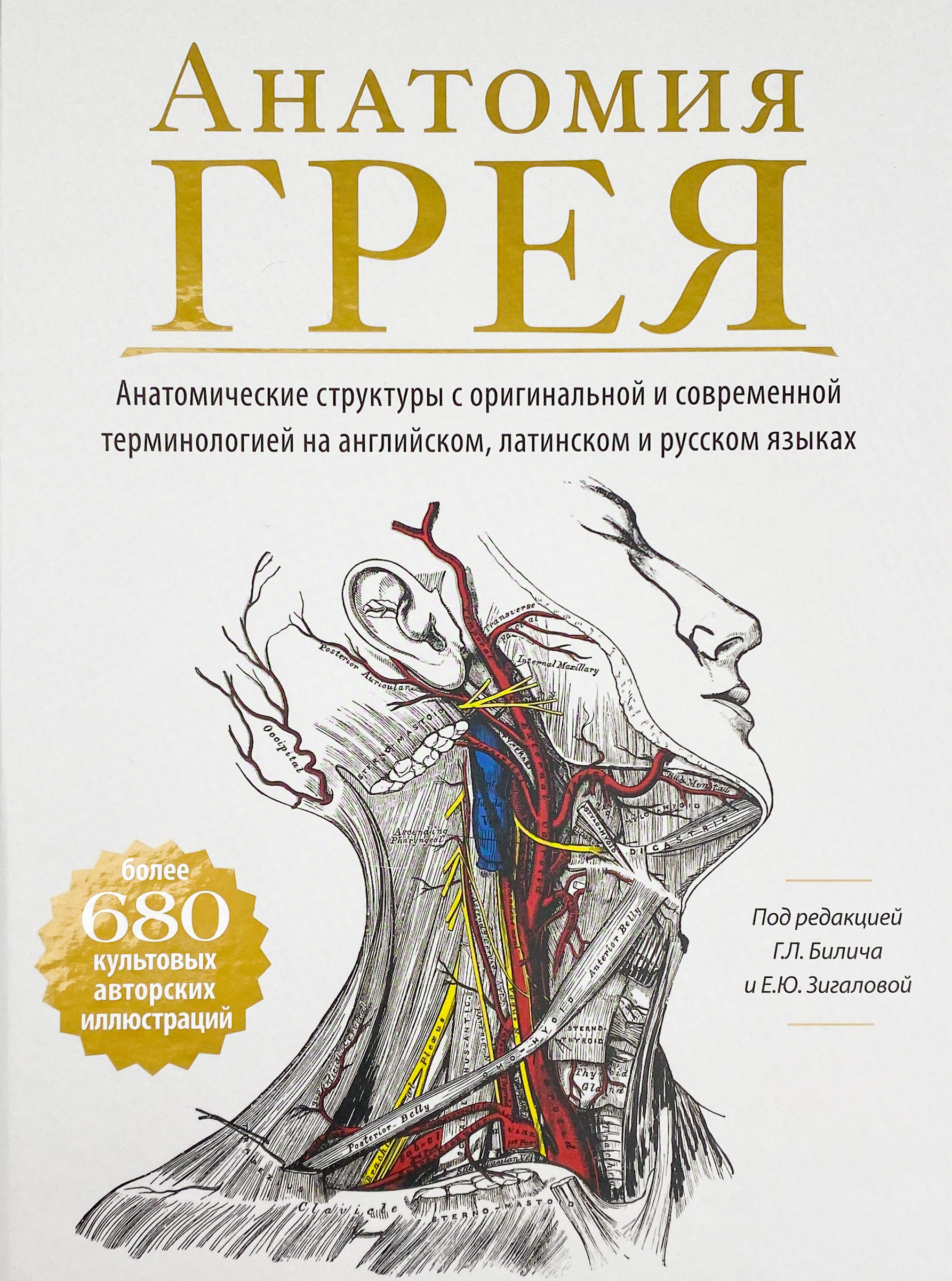 Анатомия Грея: анатомические структуры с оригинальной и современной терминологией на английском, латинском и русском языках