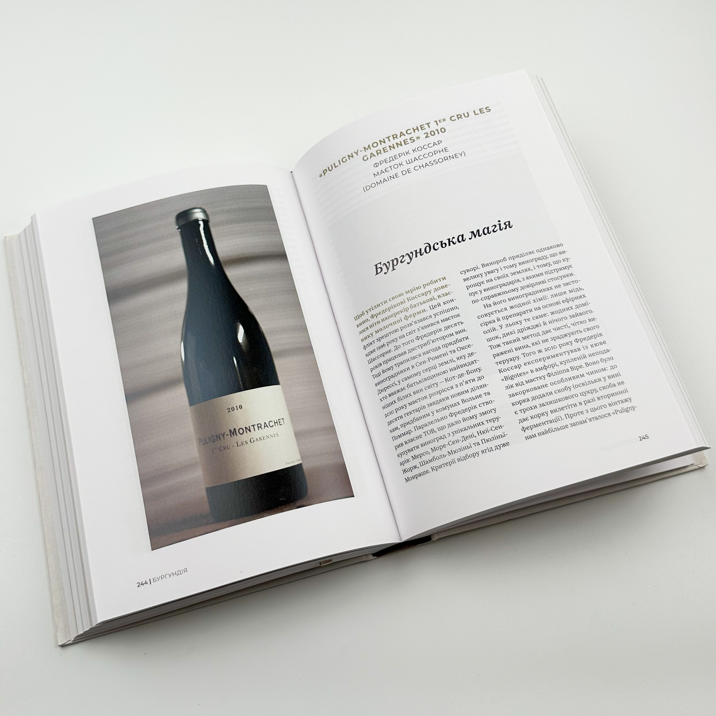 Raisin. 100 великих натуральних емоційних вин. Автор — Ґійом Ларош, Аррі Анноні, Седрік Блатрі. 