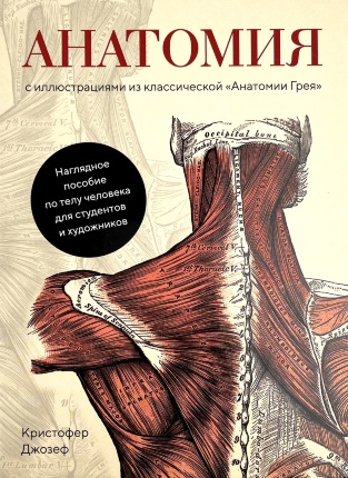 Анатомия. С иллюстрациями из классической «Анатомии Грея». Автор — Кристофер Джозеф. Обложка — 