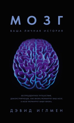 Мозг. Ваша личная история. Автор — Дэвид Иглмен. Обложка — 