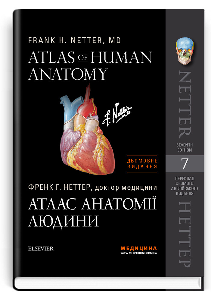 Атлас анатомії людини: 7-е видання